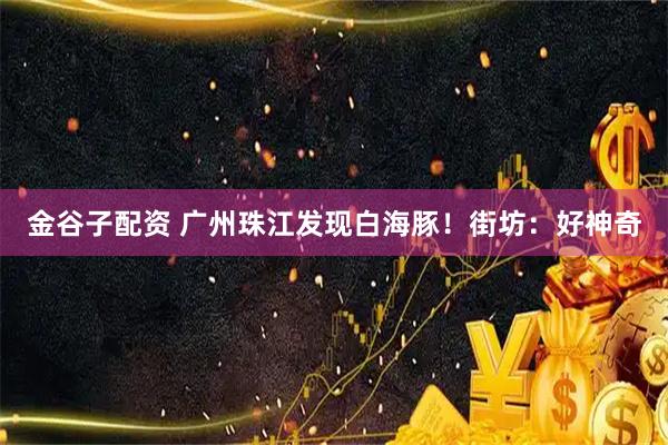 金谷子配资 广州珠江发现白海豚！街坊：好神奇
