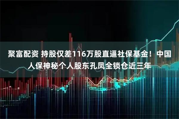 聚富配资 持股仅差116万股直逼社保基金！中国人保神秘个人股东孔凤全锁仓近三年