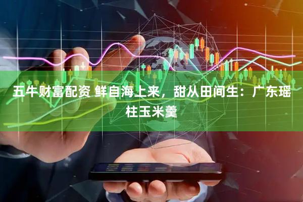 五牛财富配资 鲜自海上来，甜从田间生：广东瑶柱玉米羹